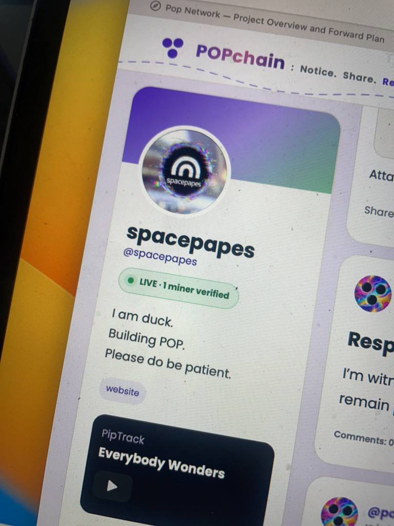 The spacepapes Popfeed profile carrying its live verified QUBE miner badge.